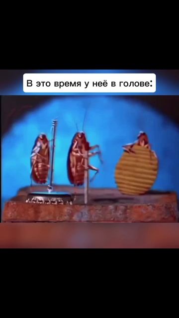 Тараканы в голове