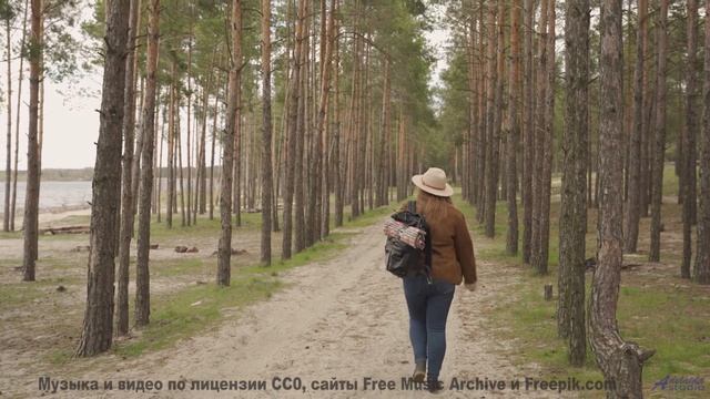 Музыка для кибернетических организмов - будущее звучания! - Then I Will Love You Again -- Laetitia S