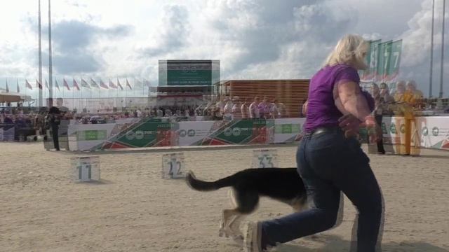 Класс щенков