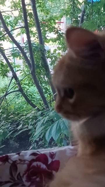 Тихий вечер 😻💕