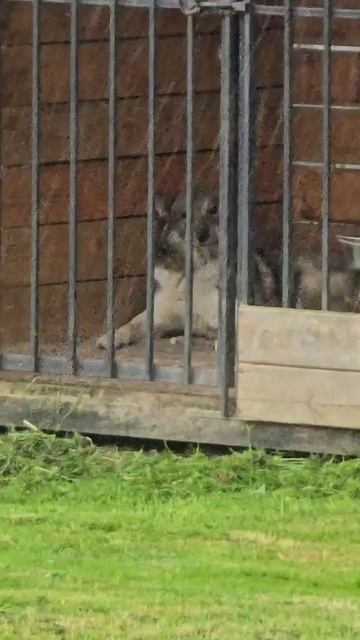 В такую погоду только спать
