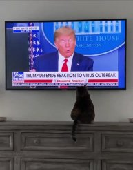 Подпишись 👉 https://vk.com/ykrasheniy_iz_kamny