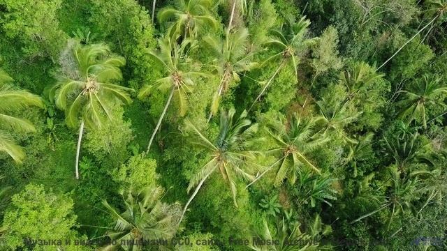 Музыка делает каждый холм и реку бесконечными - Desolation And Desperation -- Kirk Osamayo -- Season
