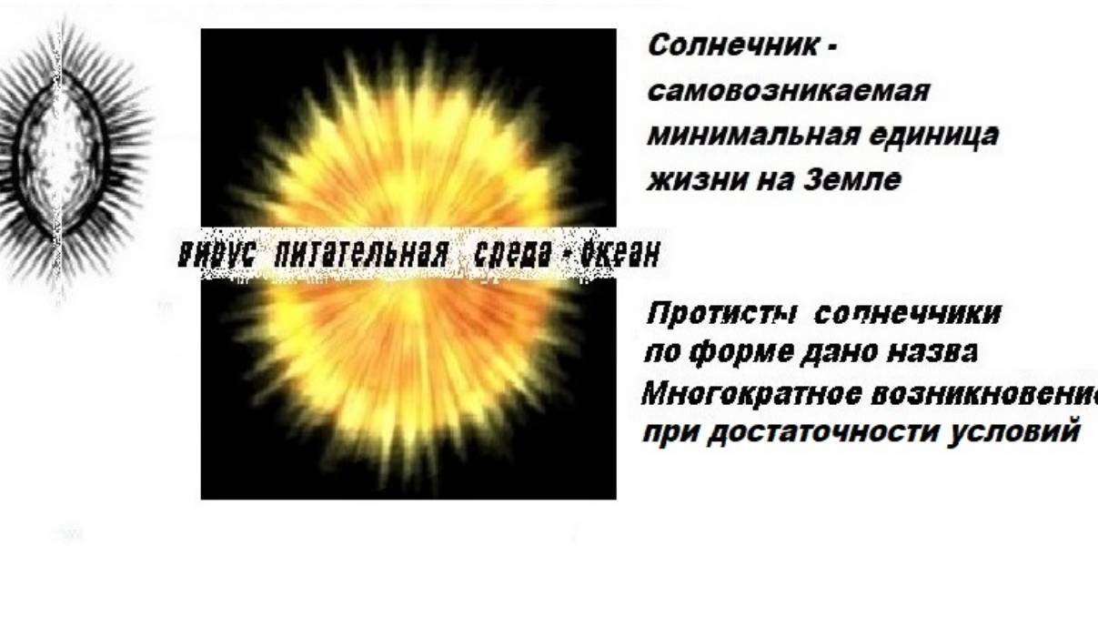 3-1-2+  Психика синхронизирует нас с фазами развития Земли  Протисты Планктон Чарнии Латимерия