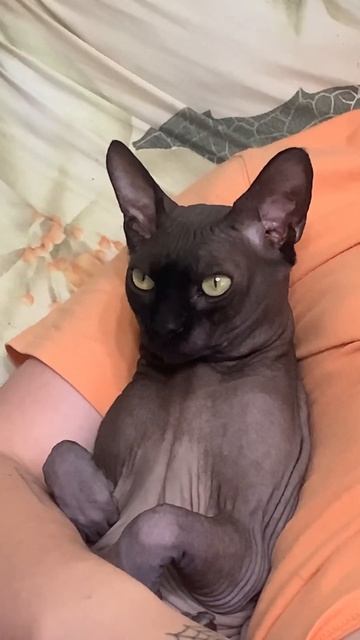 19 октября 2023 г.