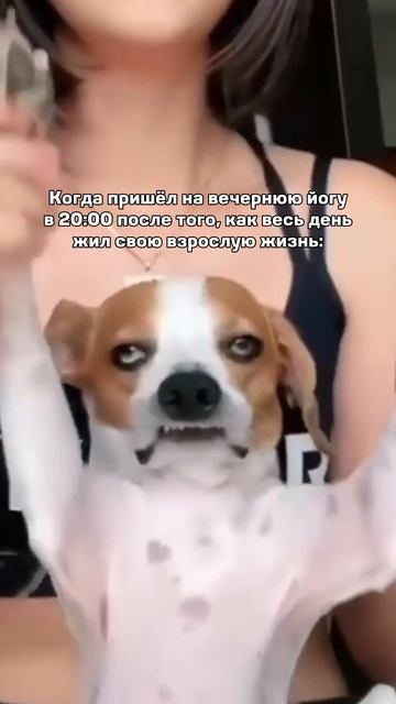 КОГДА ПРИШЁЛ НА ВЕЧЕРНЮЮ ЙОГУ ПОСЛЕ РАБОТЫ