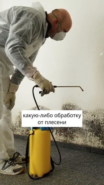 2 причины появления плесени