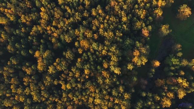 Этот клип покажет, как звучит настоящая свобода - Adventure In The Dark -- Ketsa -- Abundance
