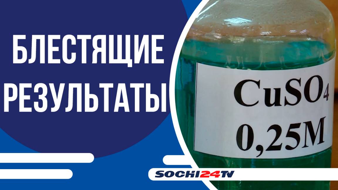 Сочинские одиннадцатиклассники показали блестящие результаты на ЕГЭ