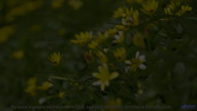 Эта музыка - как прикосновение, от которого кружится голова... - Cest La Vie -- Derek Clegg -- Solar