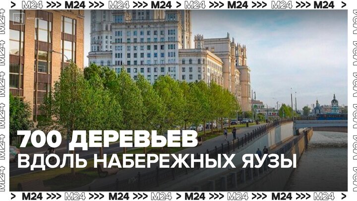 Более 700 деревьев высадили на набережных Яузы - Москва 24