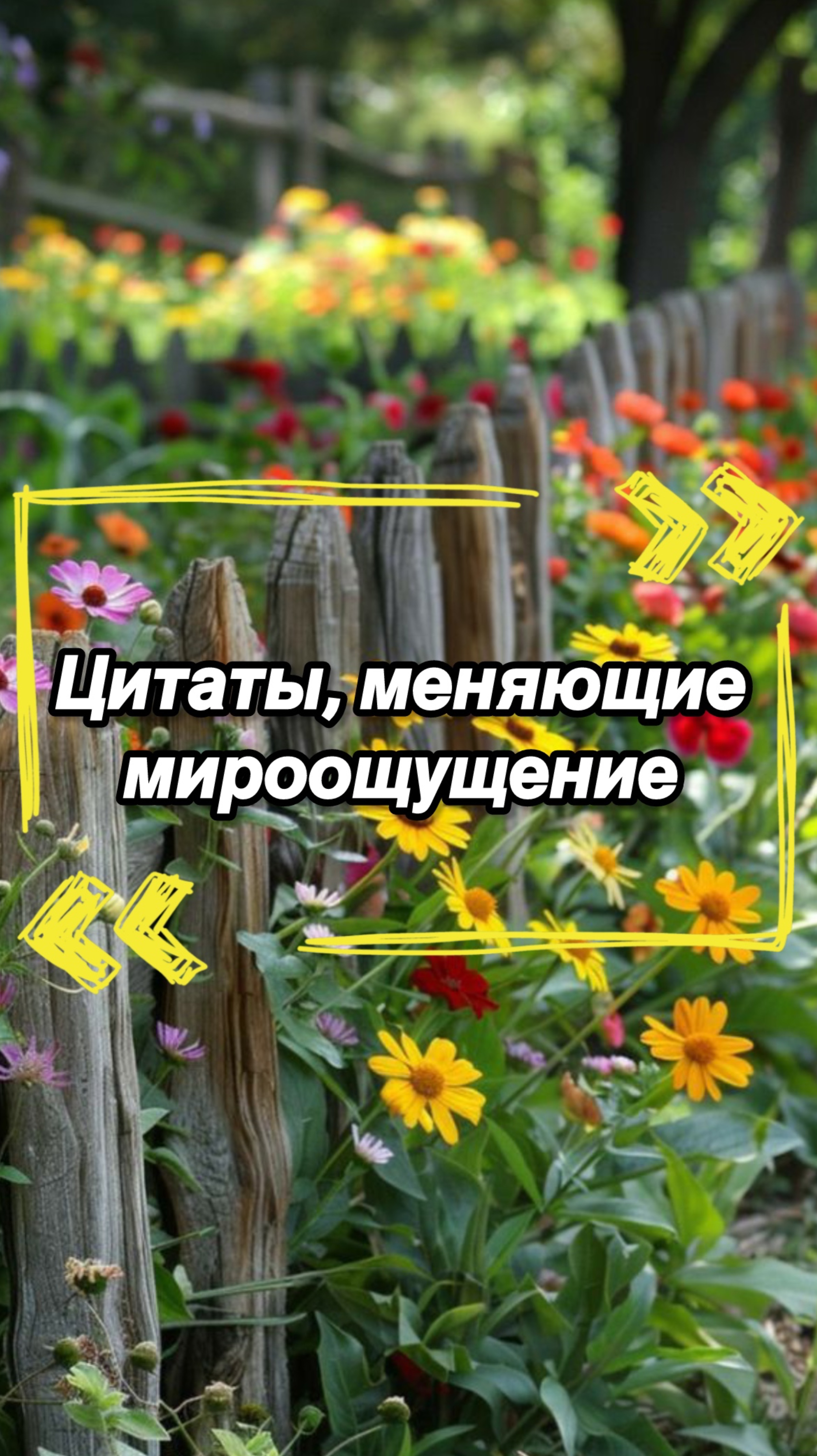 Цитаты, меняющие мироощущение🙏🏻