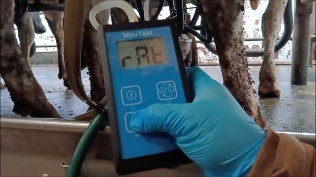 Работа с МиниТестом