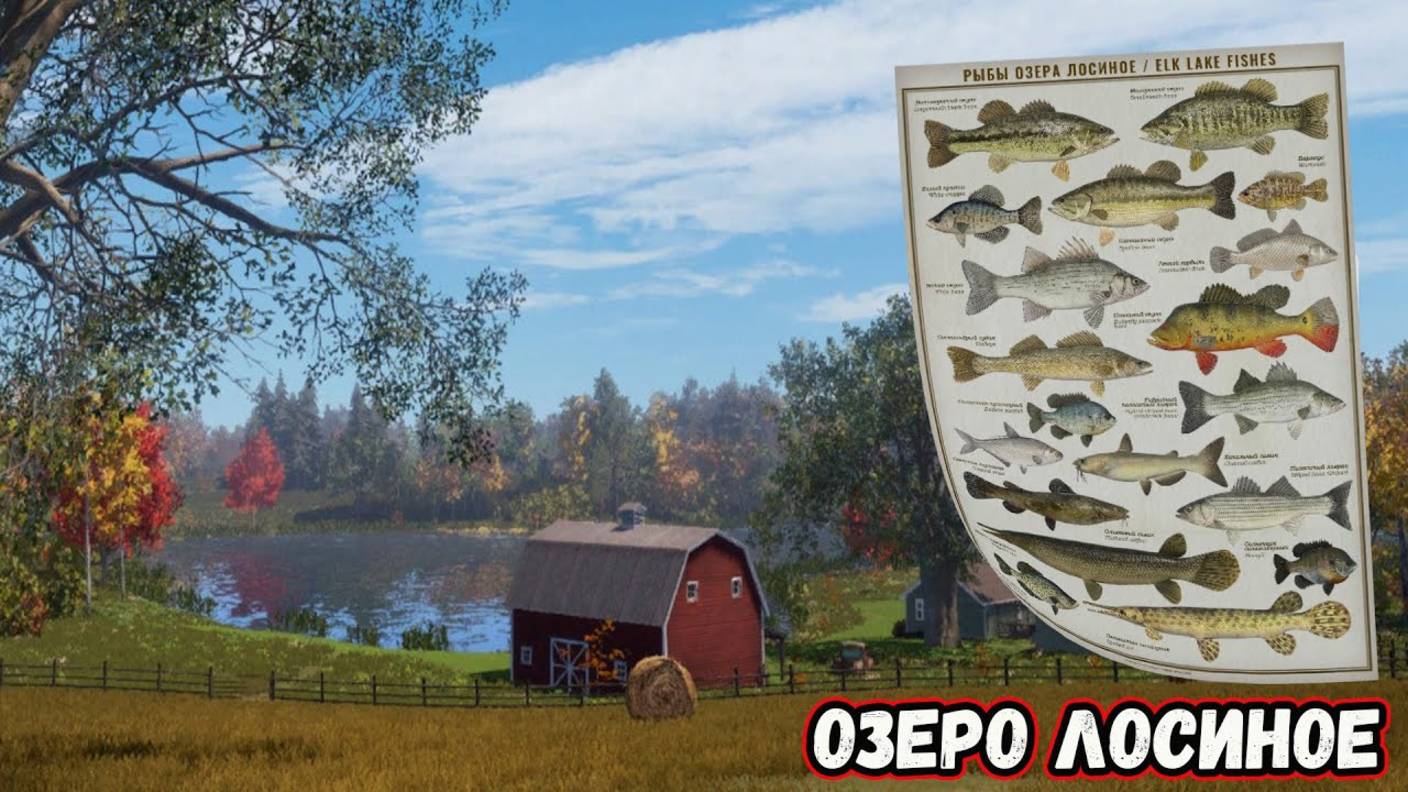 ЛУЧШЕЕ ОЗЕРО ДЛЯ НОВИЧКОВ В РУССКОЙ РЫБАЛКЕ 4 РР4 ОБЗОР ОЗЕРО ЛОСИНОЕ ФАРМ ТОЧКИ И ПРОКАЧКА ОПЫТА