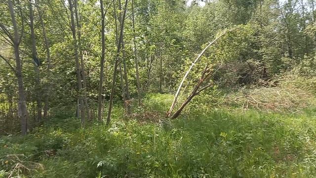 новосиньково