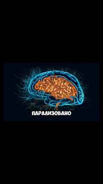 Почему вы не двигаетесь во сне?