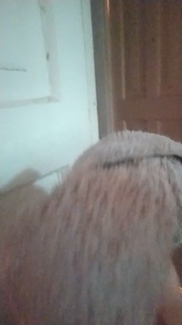 VID_20250617_191246.mp4