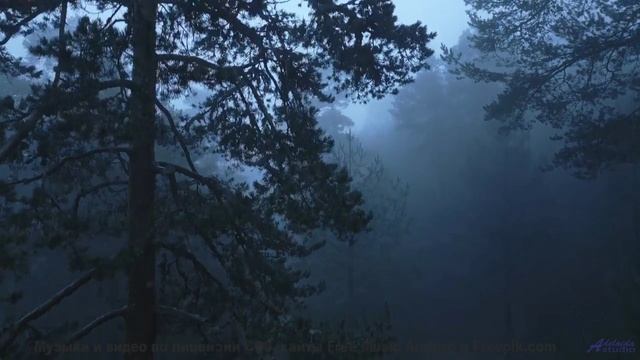 Этот трек - ваш билет в любую точку мира! - Find Me The Pulse Of The Universe -- Laetitia Sadier Sou