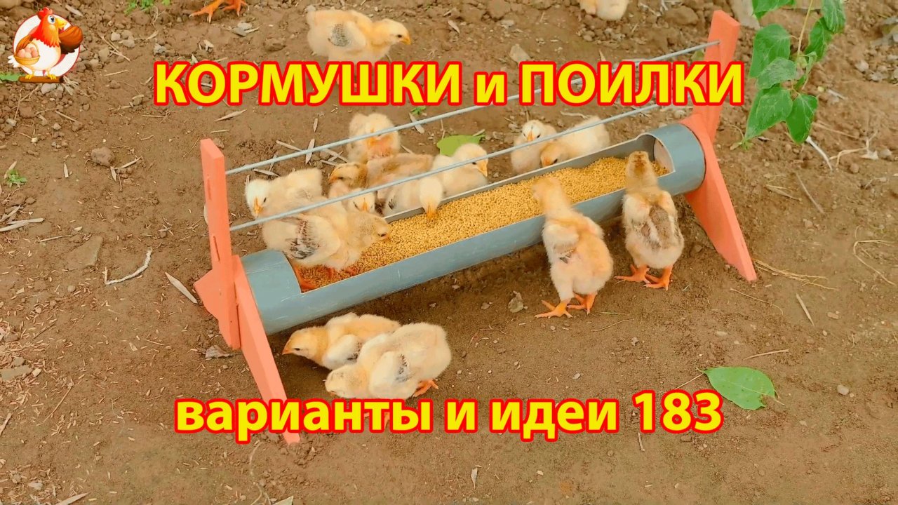 Кормушки и поилки для кур своими руками (183) 🪚✂️ Пошаговая инструкция как сделать 🐔 🐓❣️