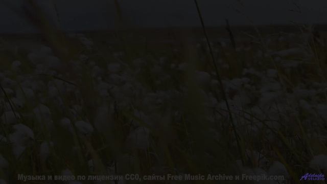 Пейзажи качают сердце как танец на ветру - I Wake Up -- En attendant Ana -- Songs from the cave