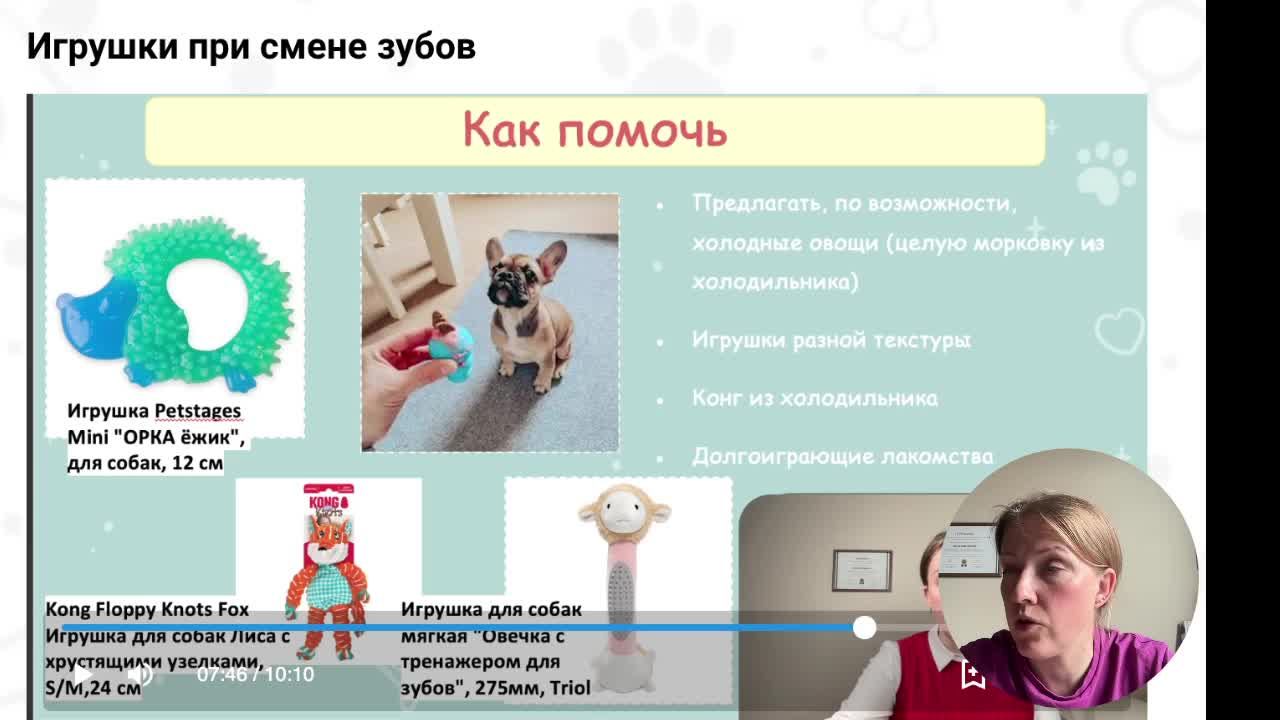 Прогон