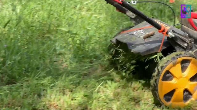 Понедельник в Керчи начался с покоса травы
