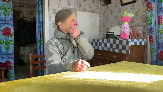 Смирнова Г.Е. Как сами строили дом