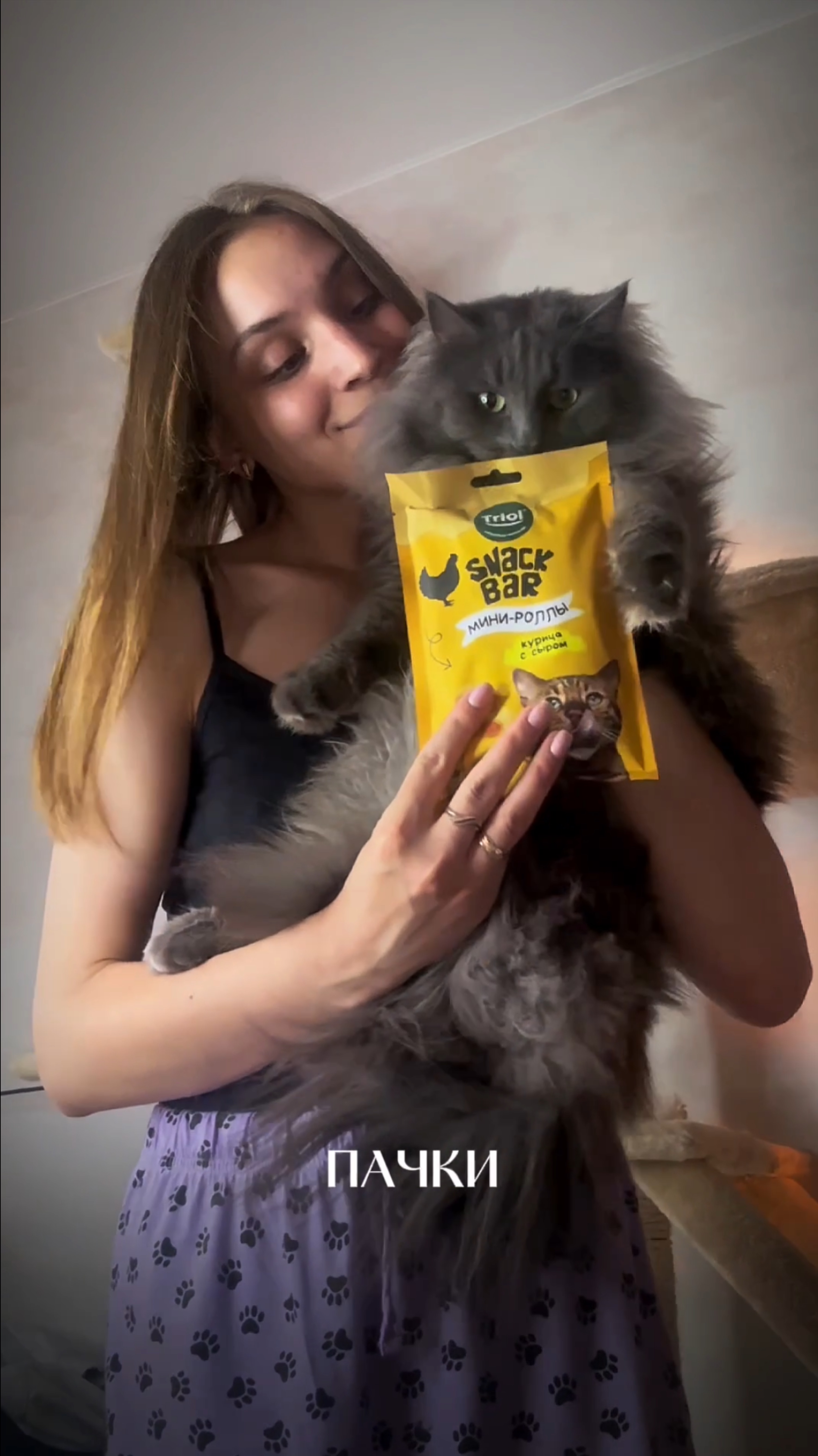 КОТ ПОЛУЧИЛ ОСКАР!