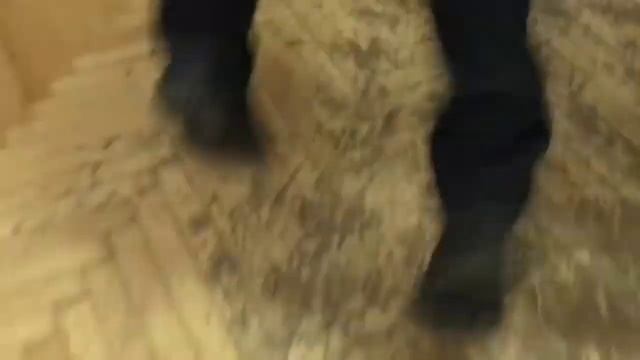 бедный котик (feat. Бонни Карпов)
