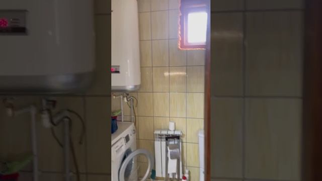 709354600436204053