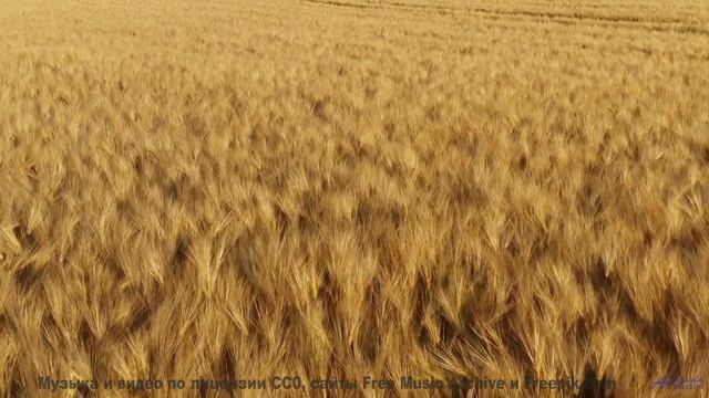 Он доказывает, что красота спасает мир! - Fifth Element -- A. Cooper -- Unnamed album