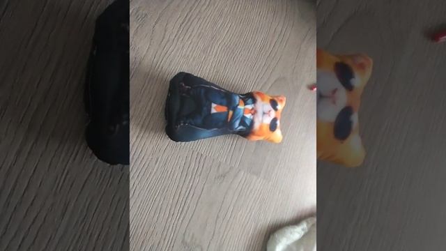 Новый итальянскй мем/хомичела шпианела