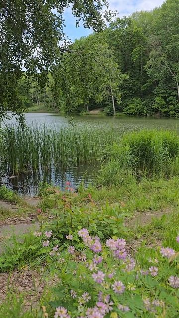 В парке Маршалково, город Строитель, Белгородская область