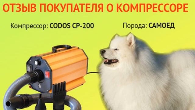 Отзыв Екатерина Фарафонова - Компрессор CODOS CP-200, порода - САМОЕД