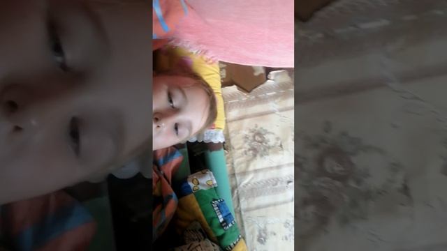 картонный дальнобойщик