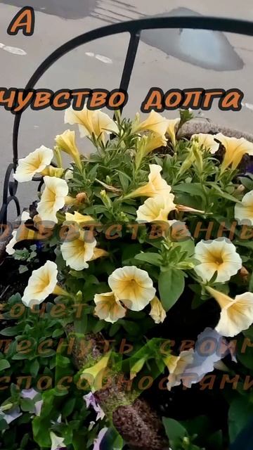 18 июня.
АСТРОЛОГИЯ ДНЯ.
Удачного дня, добра всем. 
♥️♥️♥️♥️
Я люблю вас всех, каждого. 
♥️♥️♥️♥️
Ес