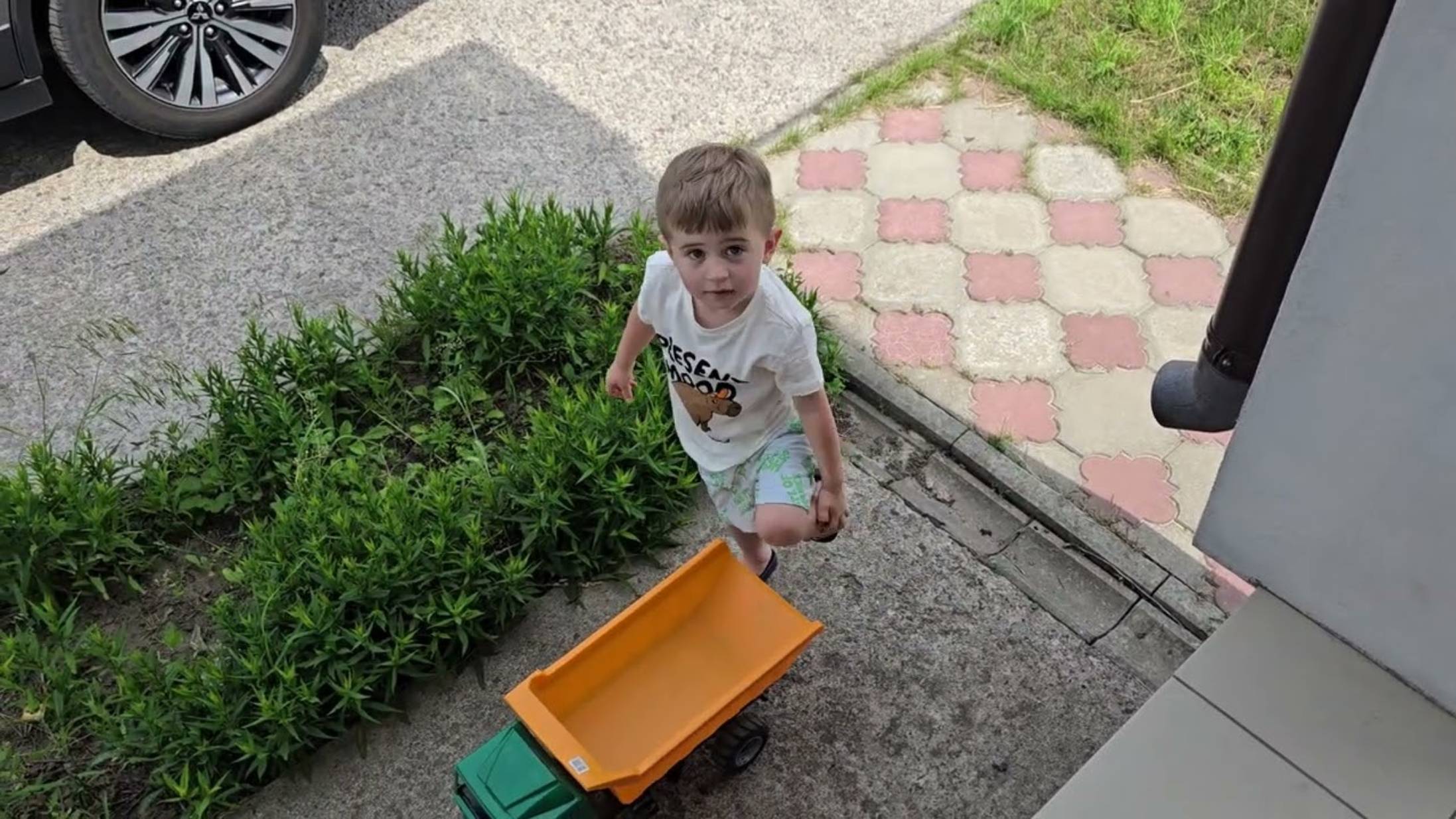Андрей Новиков. Съездили на рынок, что купили Какие цены