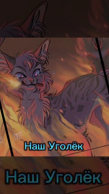 Коты воители. Ваше/наше