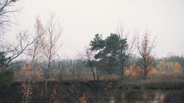 Горы, которые поют о любви - слушайте их голос! - Leave the Bottle -- Forget the Whale -- You. Me. T