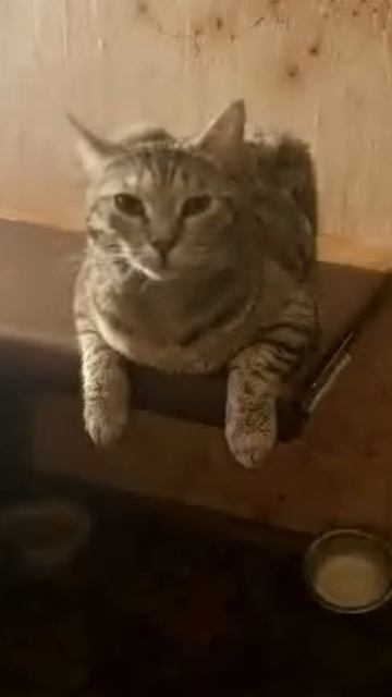 ЛЮСЯО