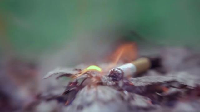 Окурок причина пожара