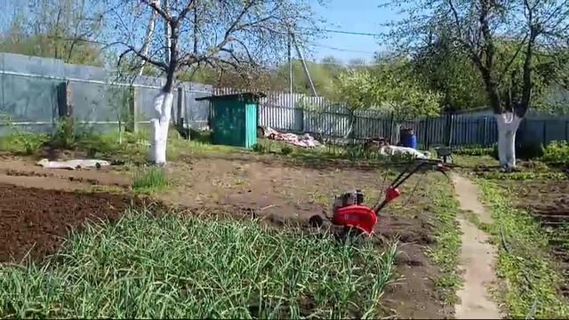 Отзыв: Краска для защиты садовых деревьев от Мастер Класс