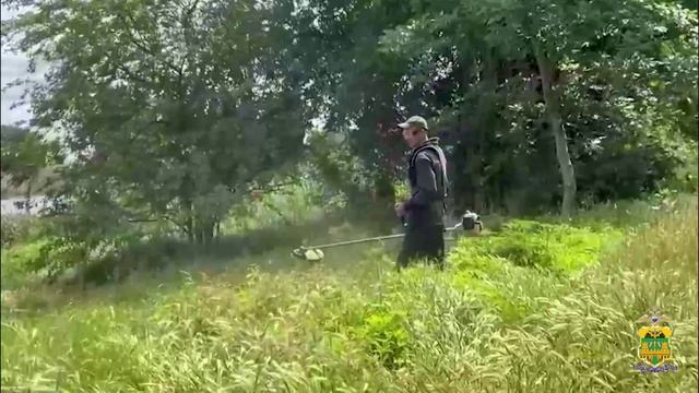 В Тбилисском районе уничтожен очаг произрастания дикорастущей конопли