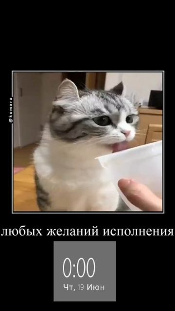 С днём рождения меня!🥹
