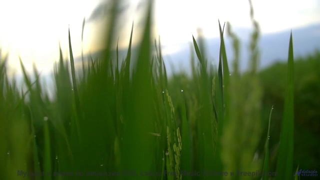 Этот клип - как обещание, что все будет хорошо! - Small Spaces -- Steve Combs -- Speaking in Spirals