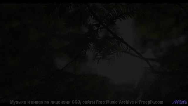 Это видео - как глоток свежего зимнего воздуха! - Bound To Another World -- Kirk Osamayo -- Season T