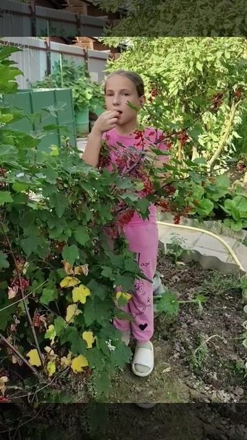 Хватит виноград наш рвать🤣👍
