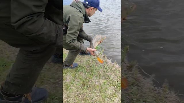 рыбалка Нижние Пены!