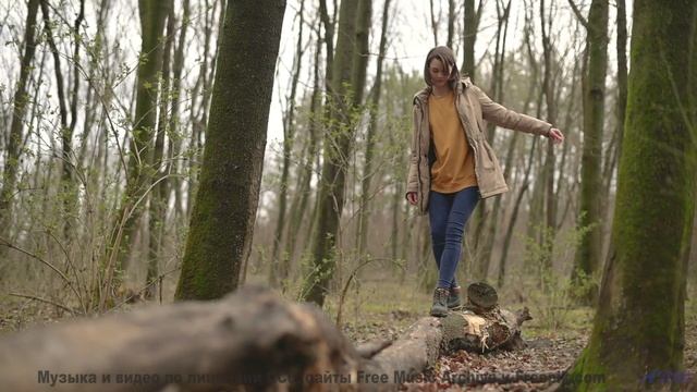 Леса открываются вместе с каждой новой нотой - Vuelve a la Luz -- Silva de Alegria -- Primavera en l