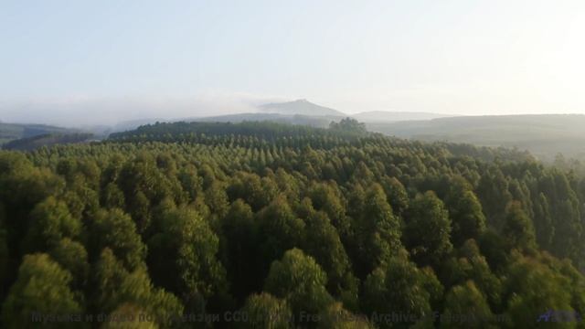 Что скрывают эти звуки - Beautiful-Hope-Ambience -- Ketsa -- Unified Division